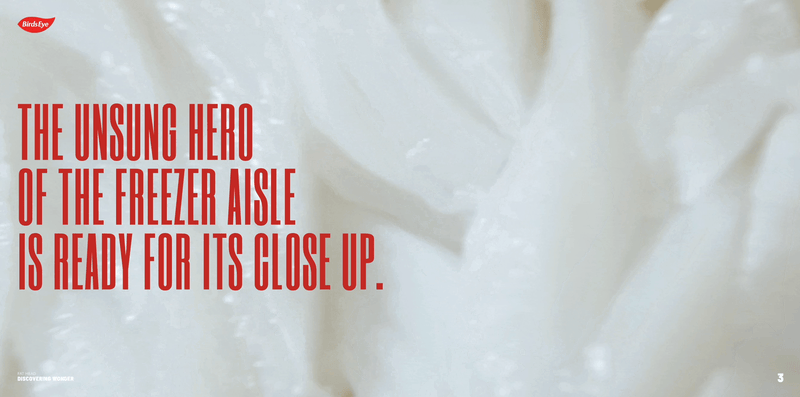 Birdseye Website 3.gif