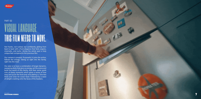 Birdseye Website 6.gif