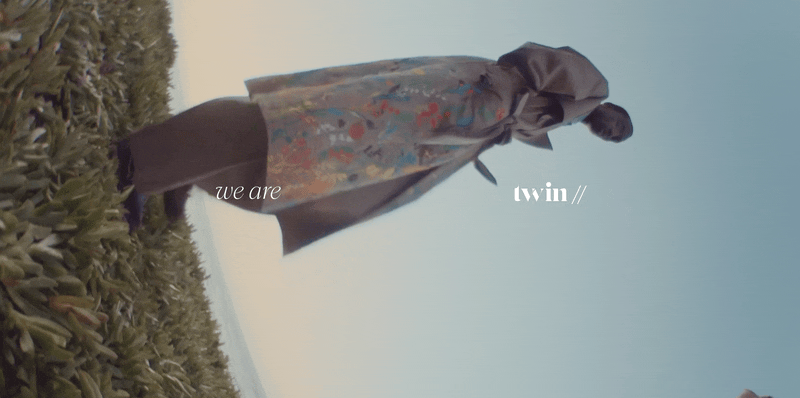 Twin _ Creds Deck FAT HEAD WEBSITE.gif