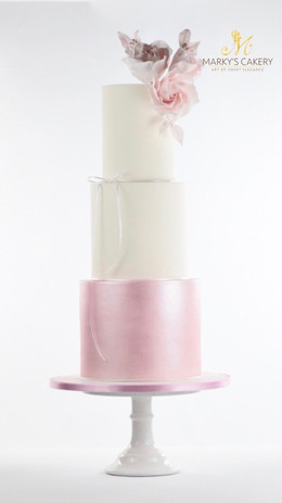 Weiss Pink Modernrose Ps0.jpeg
