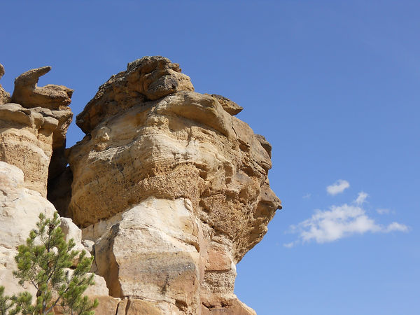 April 2010 108.jpg