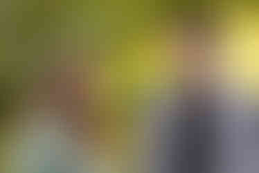 Still 1