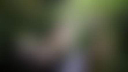 Moganshan, un week-end all'aria aperta!