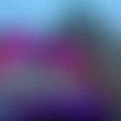 Vancouver juno awards at the art gallery