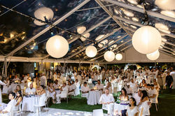 clear top frame tent