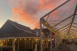 gone country music festival