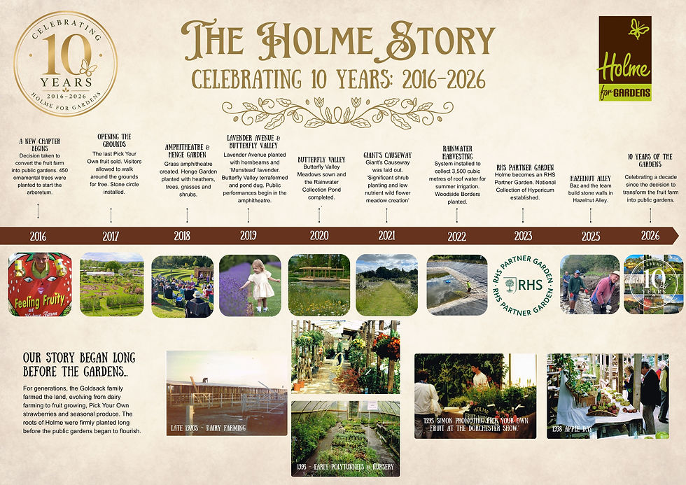 the Holme Gardens – Celebrating 10 Years