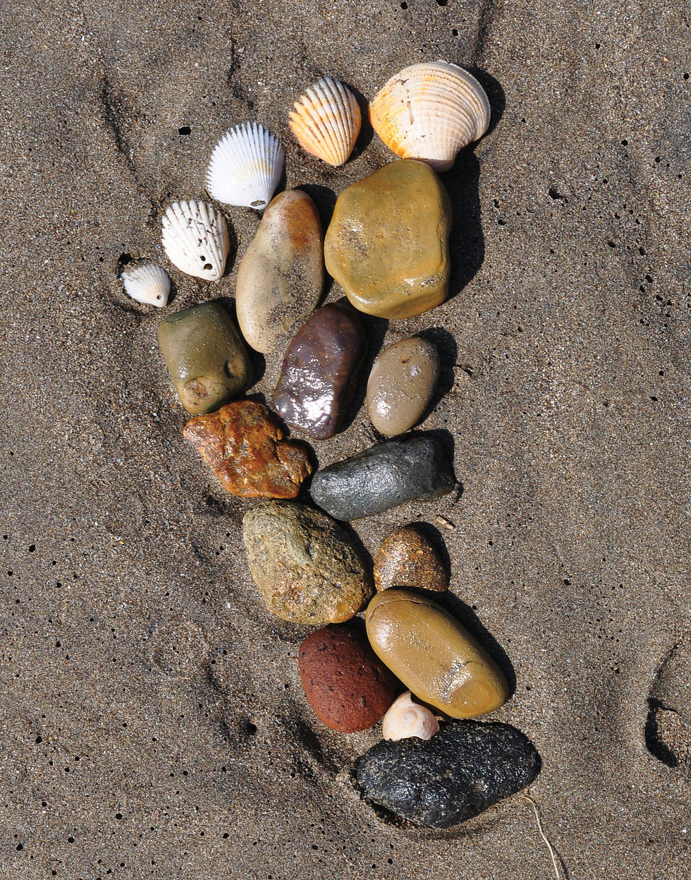 Pebbles and seashells arranged in a footprint shape on sandy beach. Various colors and textures create a natural, artistic scene.