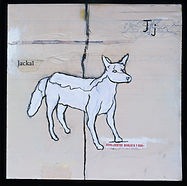 J is for Jackal