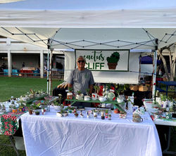 Cactus Cliff_2024_edited