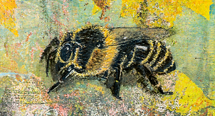 SubArc-e1617873703487-1-980x350_edited_e