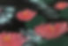 SubArc-e1617873703487-1-980x350.jpeg