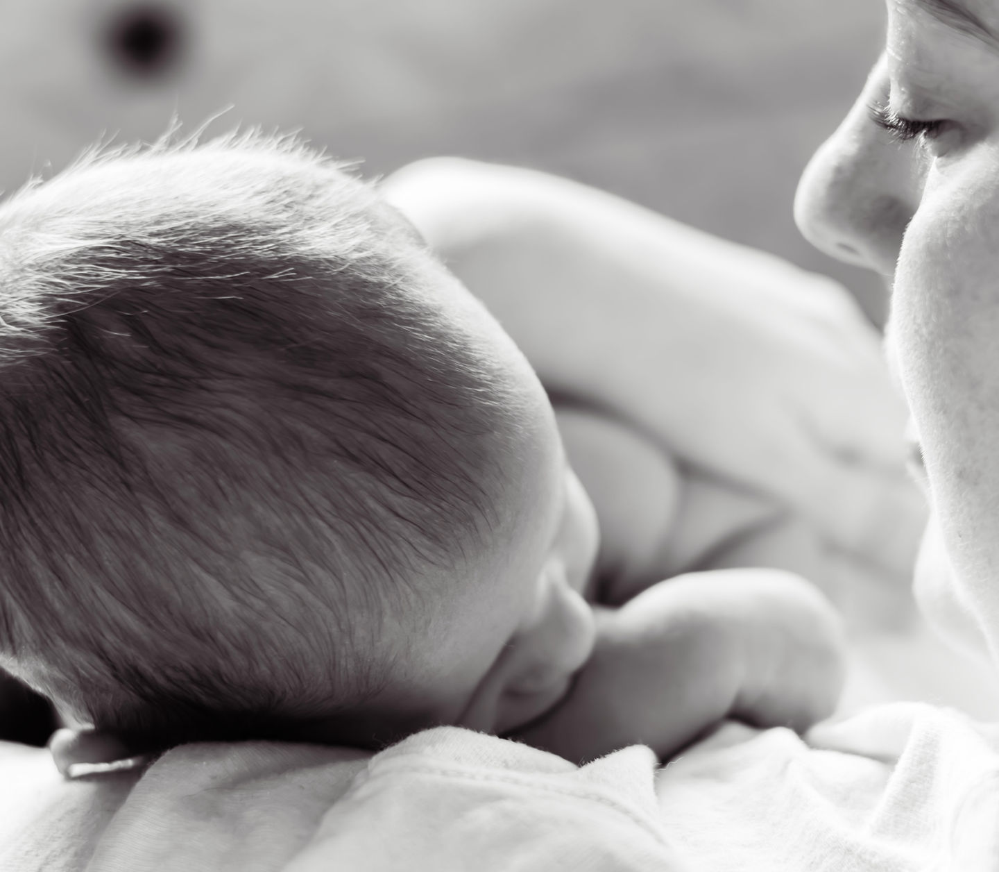 216A7391-Enhanced-NR copy