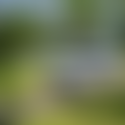 So sánh Toyota Innova Cross 2025 bản Xăng và bản Hybrid: Nên chọn phiên bản nào?