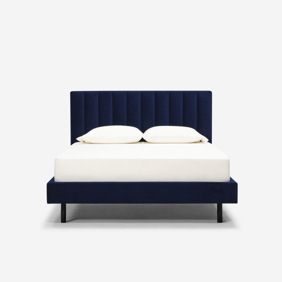Navy blue velvet upholstered bed with white bedding