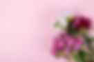 Bouquet of colorful flowers on a light pink background, fresh floral design.