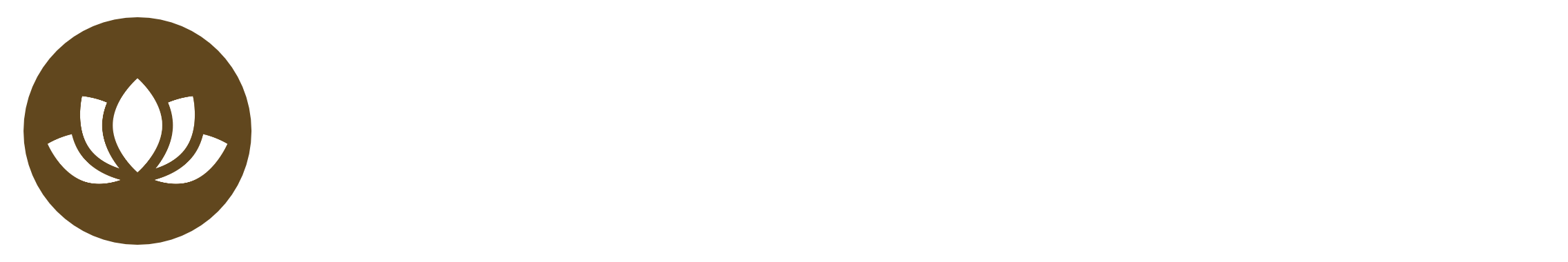 Logo Revospa