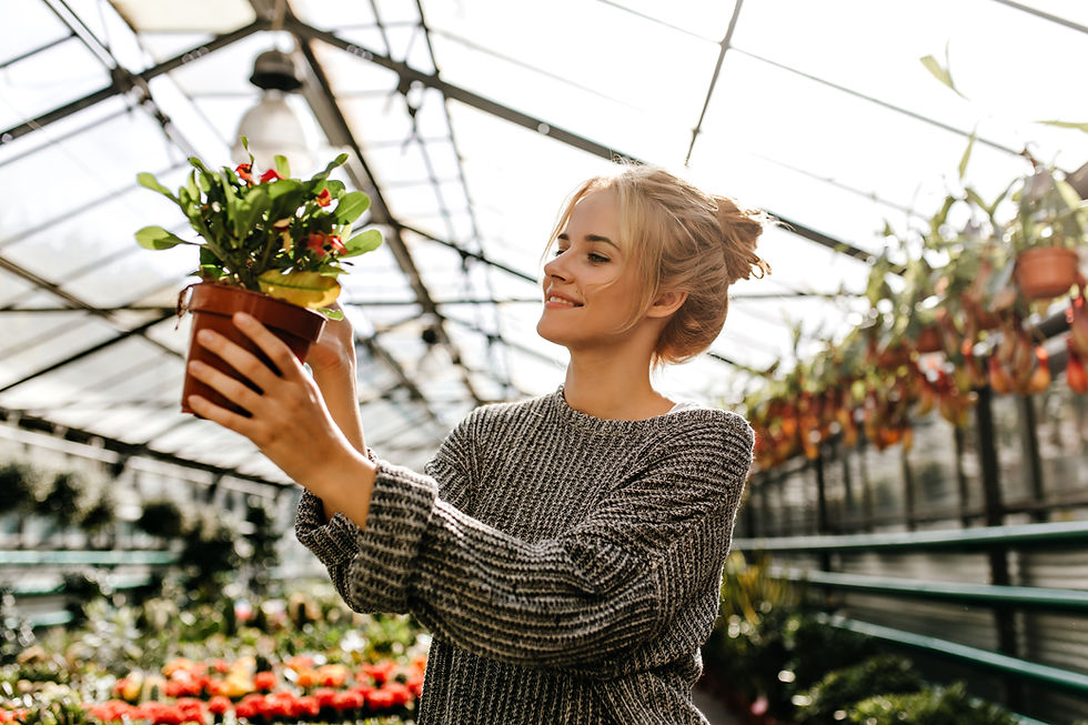 Woman examining potted plant in greenhouse