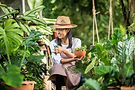 Plants Care