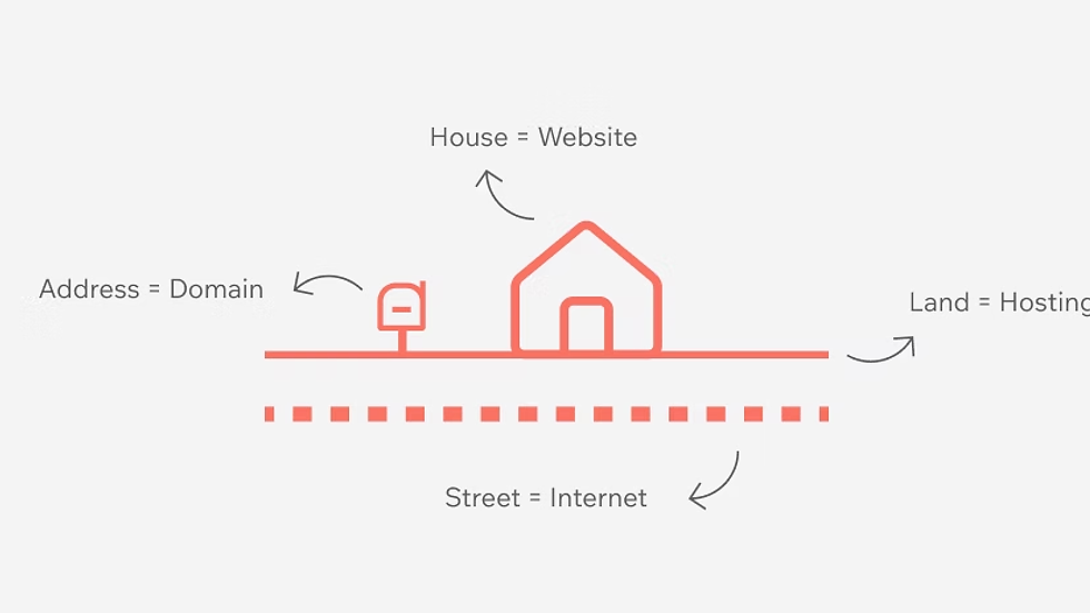 Domain vs. Web Hosting: Key Differences