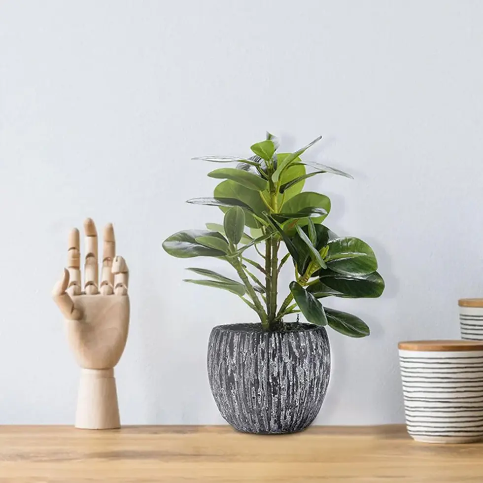 Philodendron plant in grey pot with wooden hand model