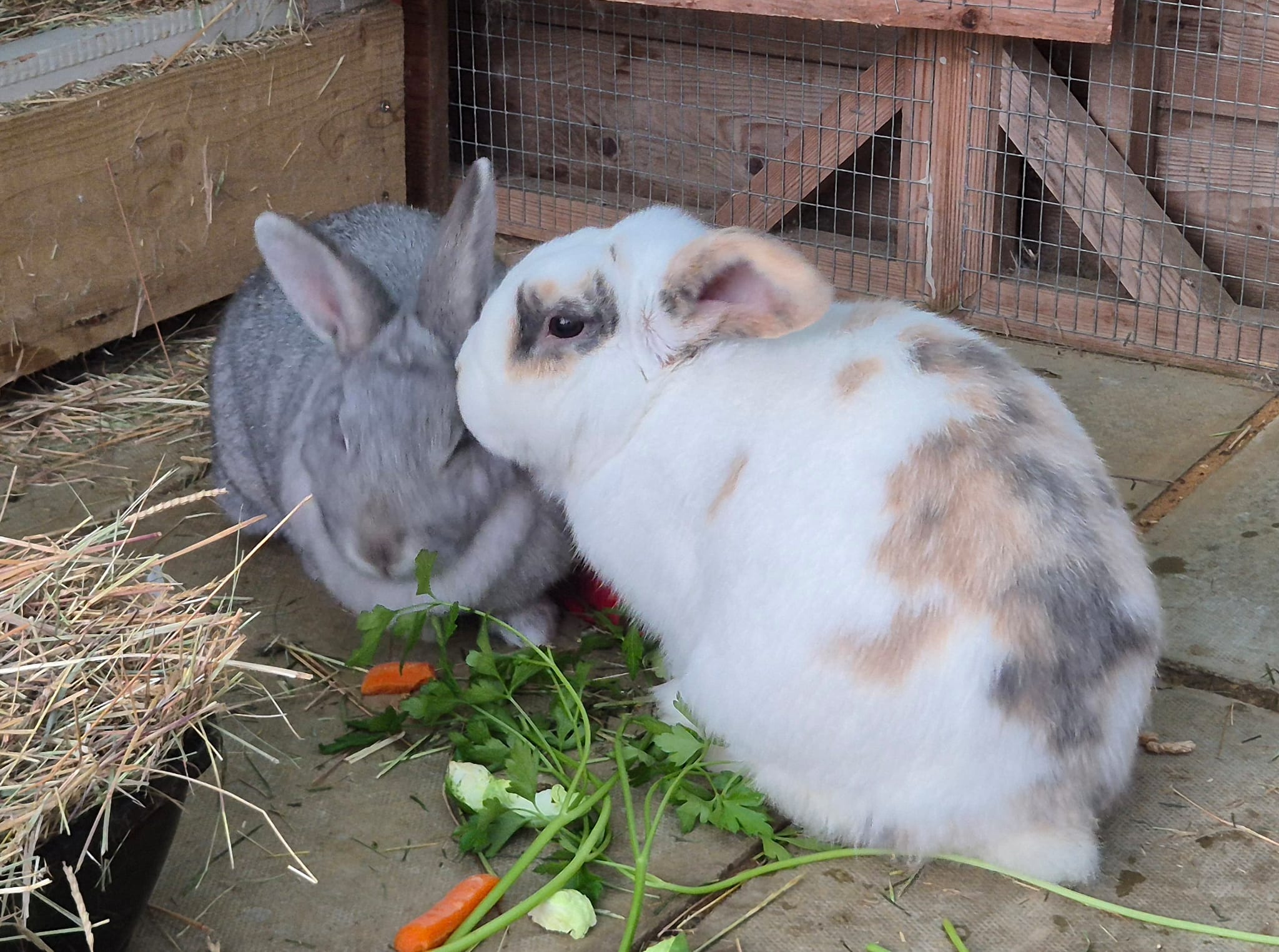 Sylvie and Albert