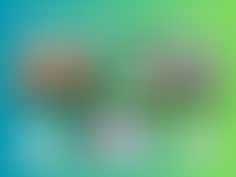 Special Easter appeal – bonded bunny brothers, Gino and Gerald, need a forever home