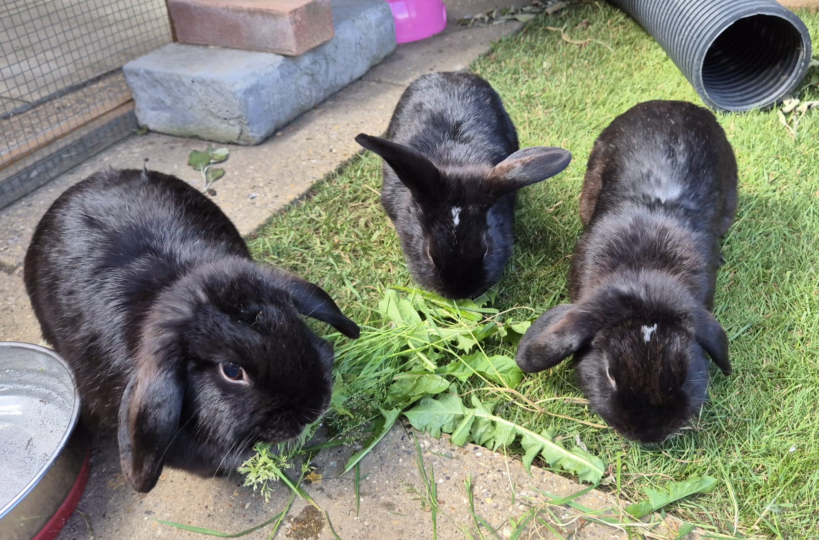 Jess & Isla & Emily — photo 2