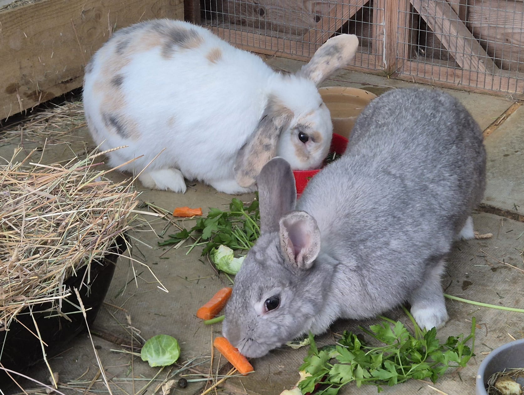 Sylvie and Albert — photo 2