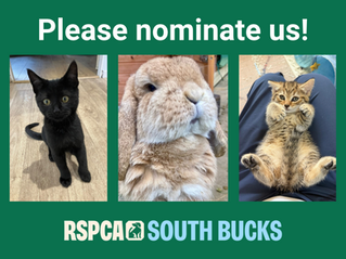 Please nominate us!