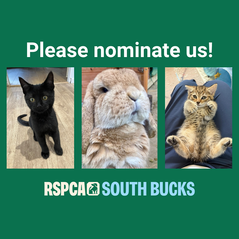 Please nominate us!