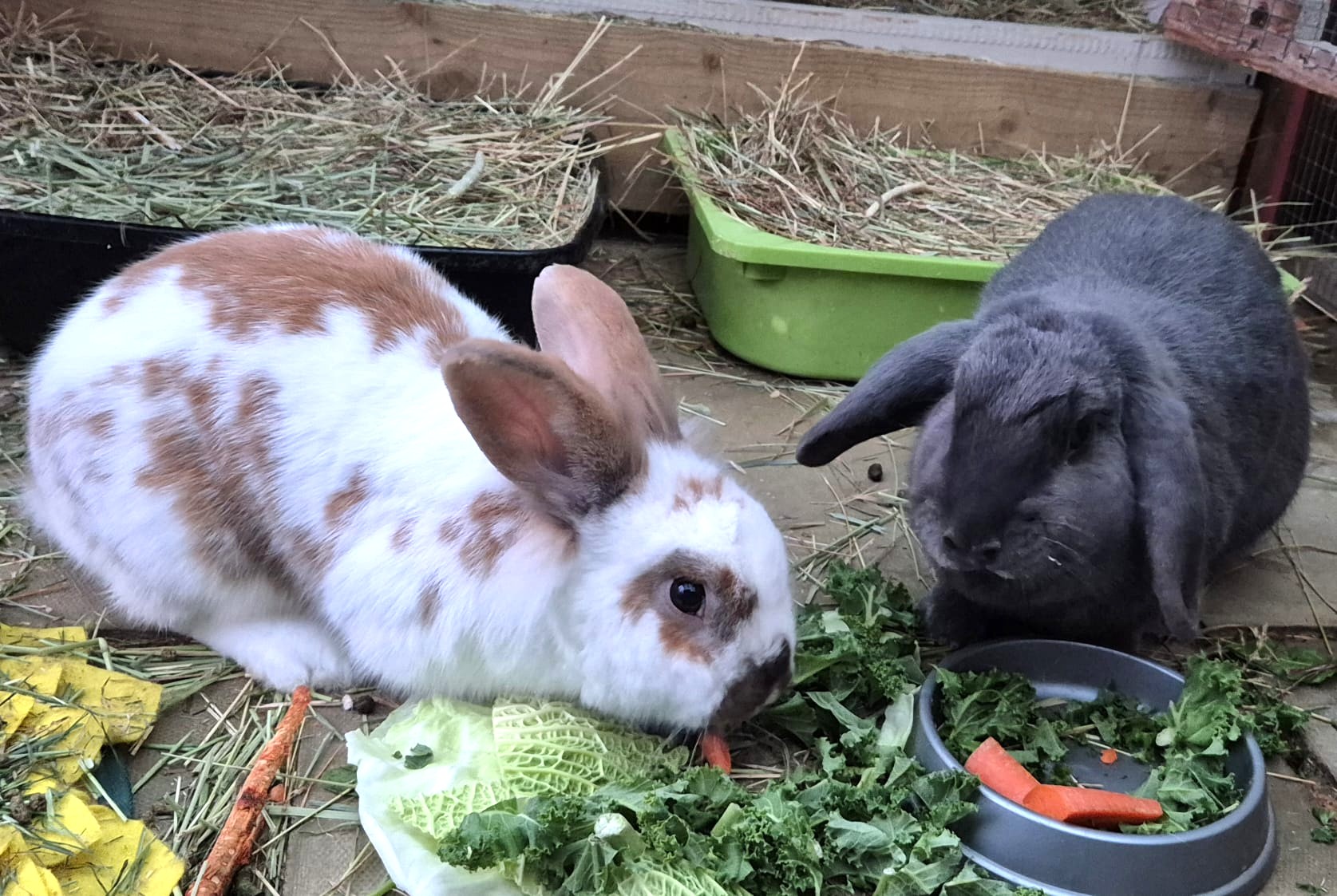 Georgia and Charlie