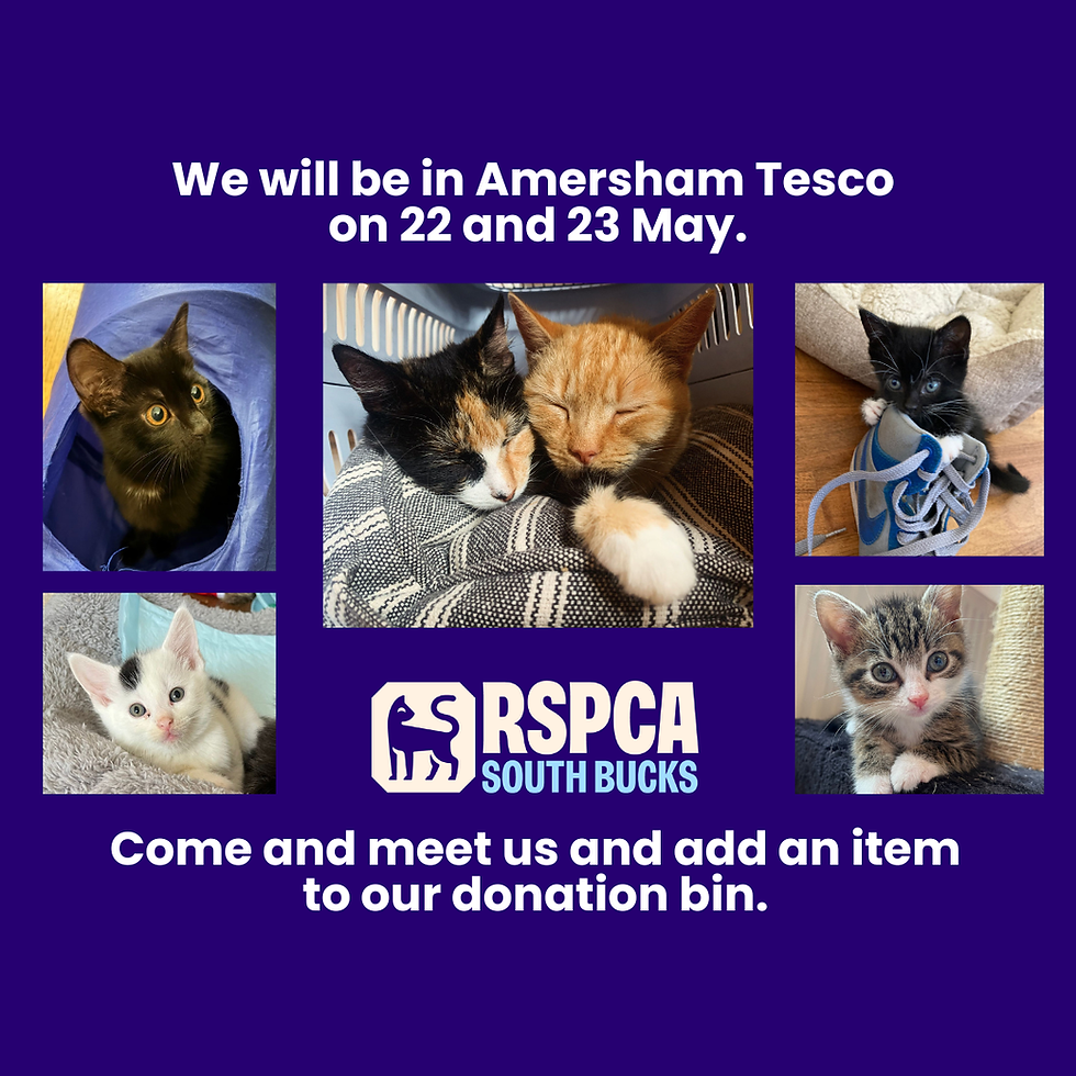 Help us fill the donation bin!
