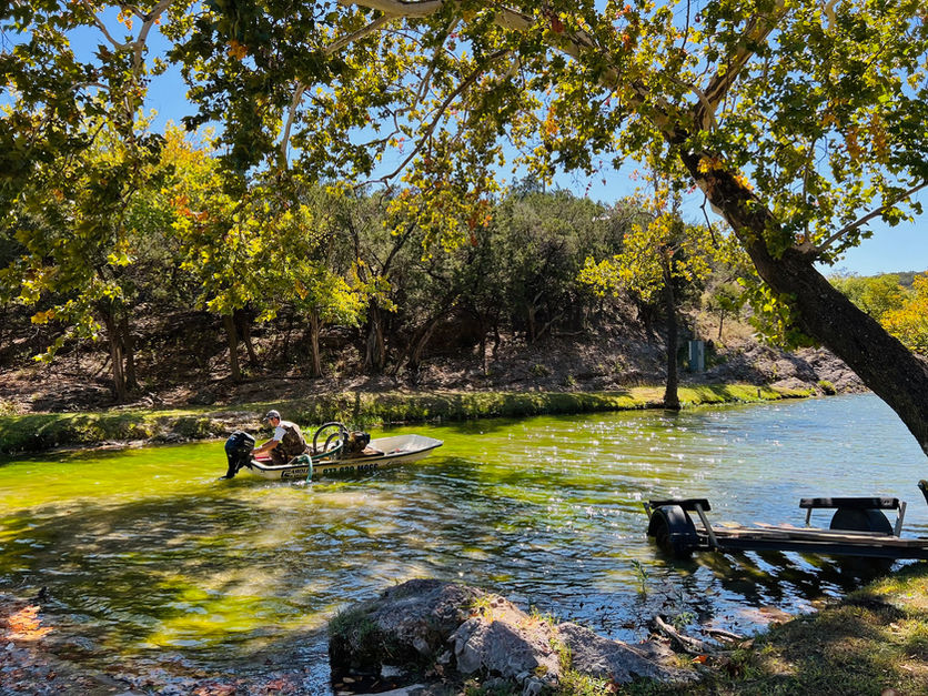 Managed pond shoreline with healthy aquatic vegetation and clear water