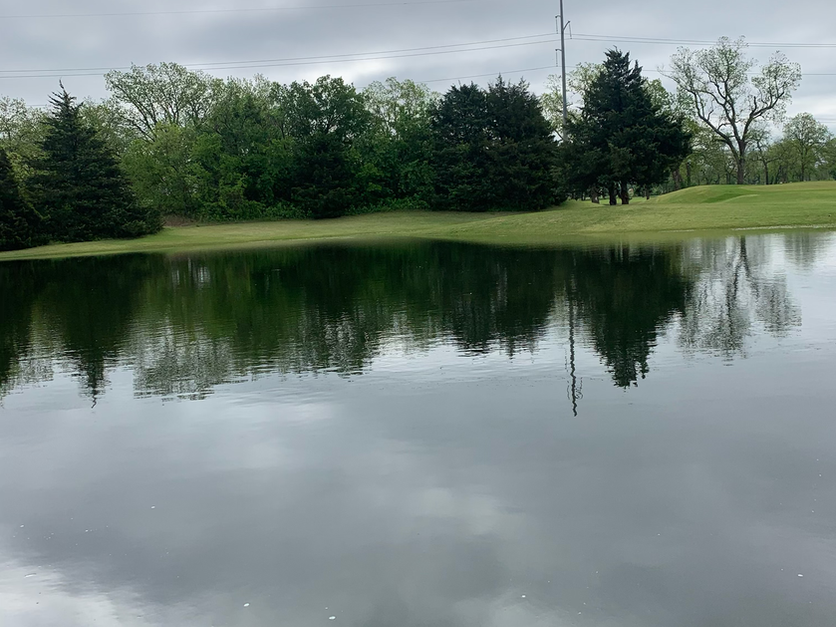 Clear, well-managed pond reflecting surrounding landscape