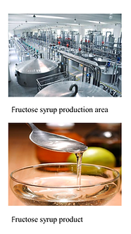 Fructose Syrup Industrial Project/Product