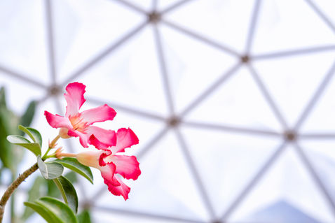 AdobeStock_207585231
