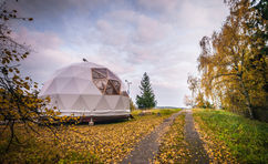 AdobeStock_369285124