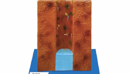 Insanitary Well
