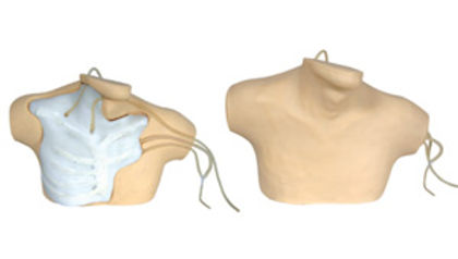 Central Venous Catheterization Simulator