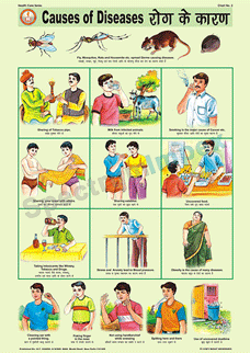 Health Care Series - Set Of 10 Charts