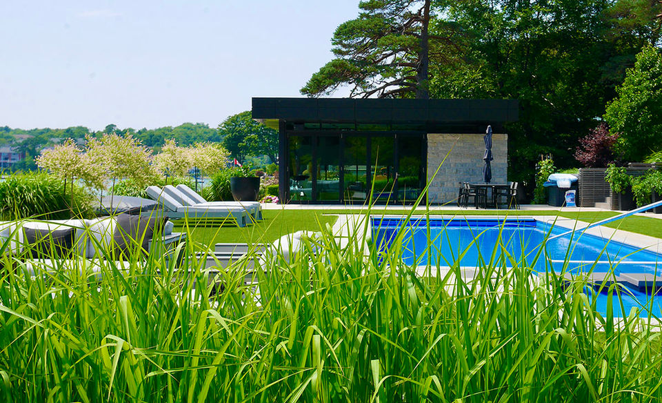 Pool with turf and loungers