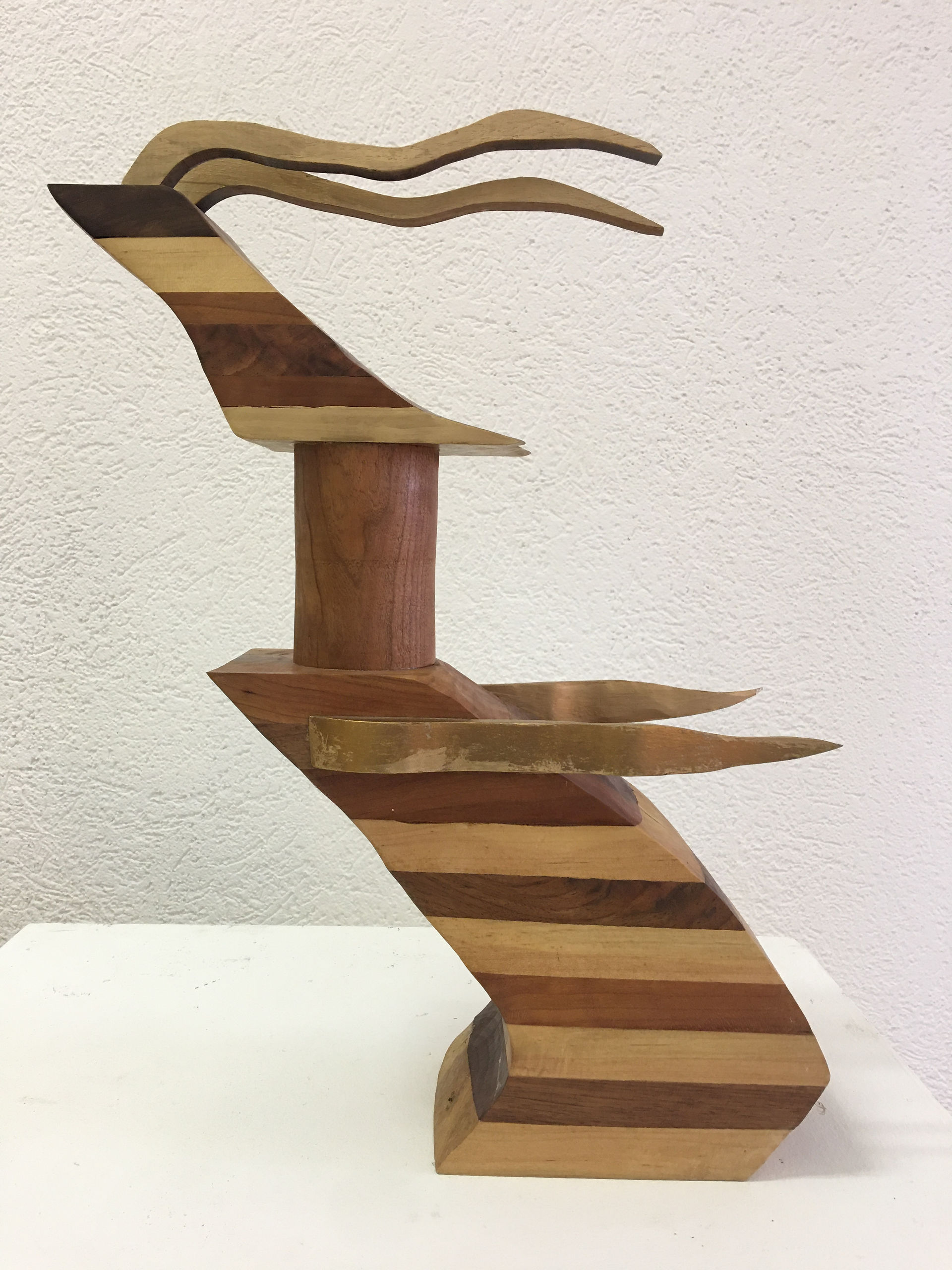 Abstract Wooden Sculpture