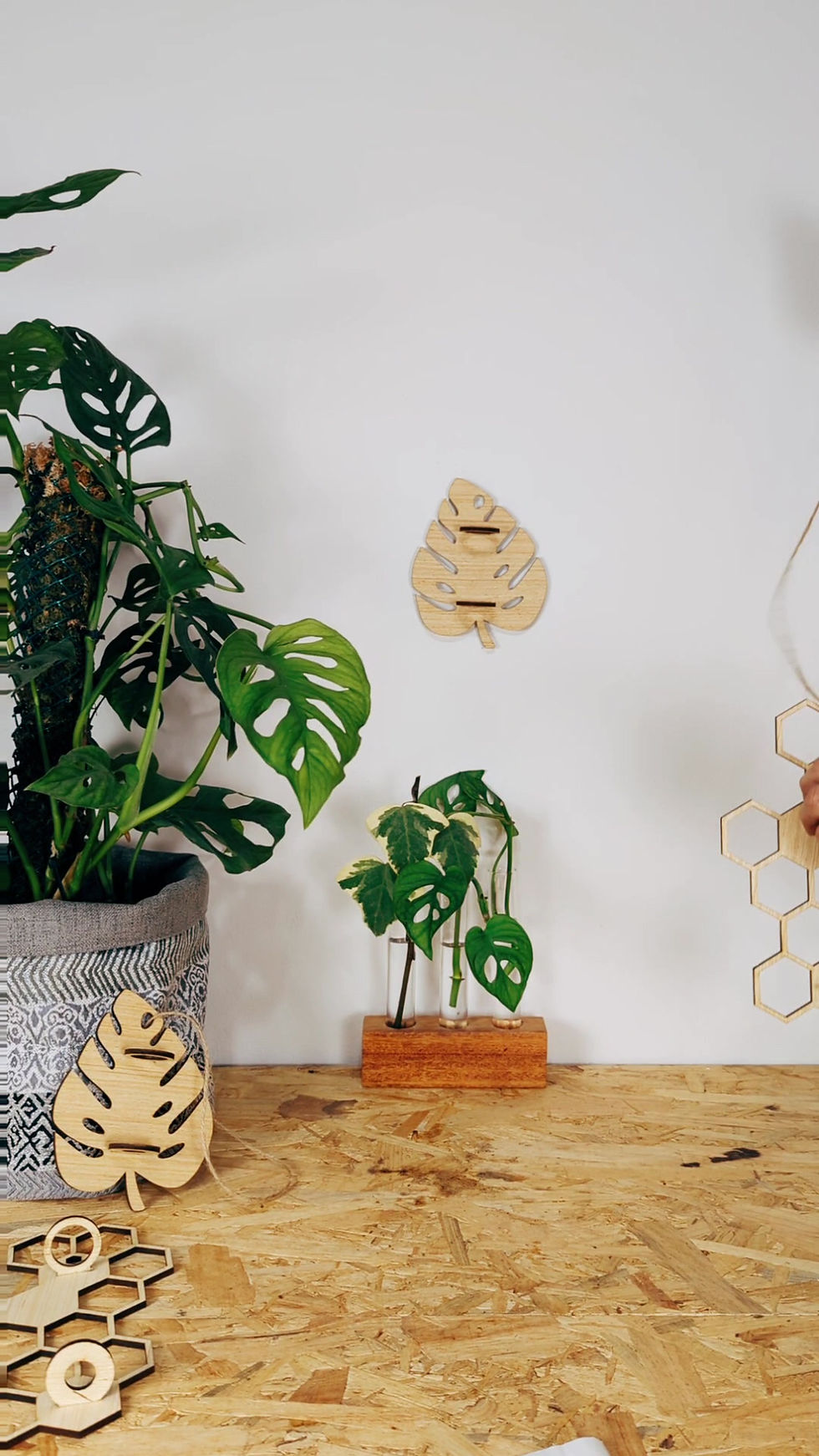 Miniatura: Colgadores Propagador