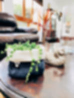 Miniatura: Senecio - Rosario