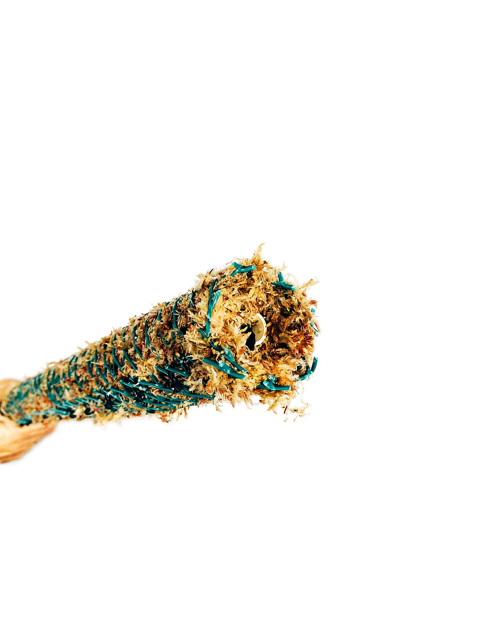 Miniatura: Tutor de musgo (parante) autoregante