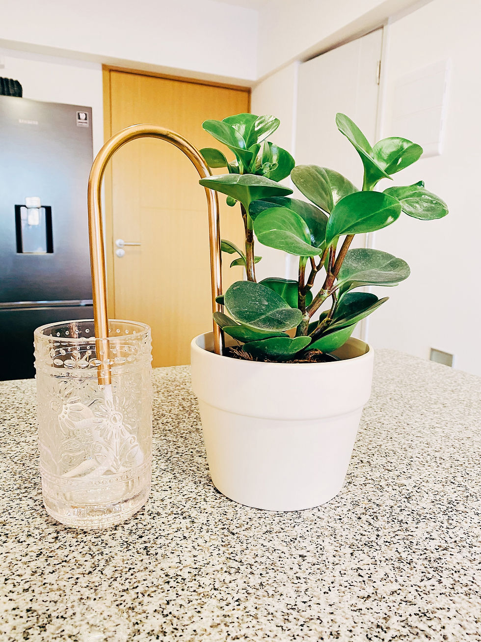 Miniatura: Auto Riego Dorado