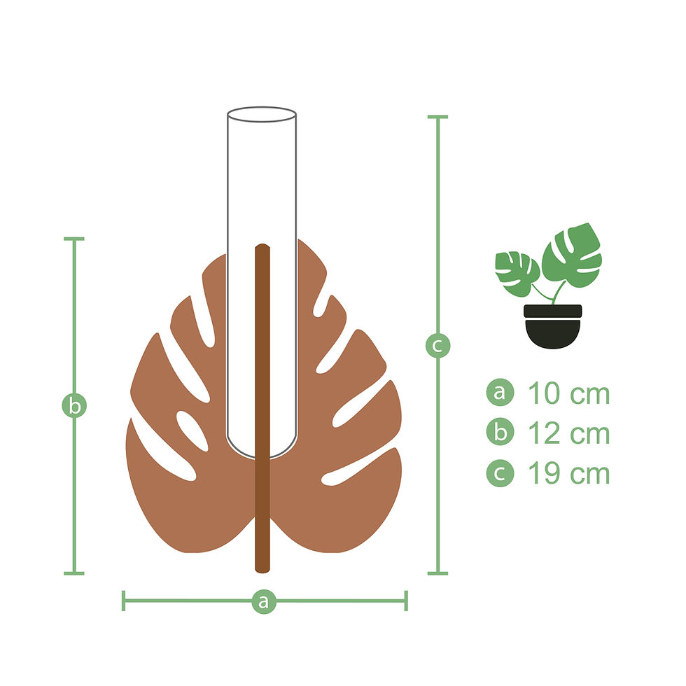 Miniatura: Soporte Hoja Propagador