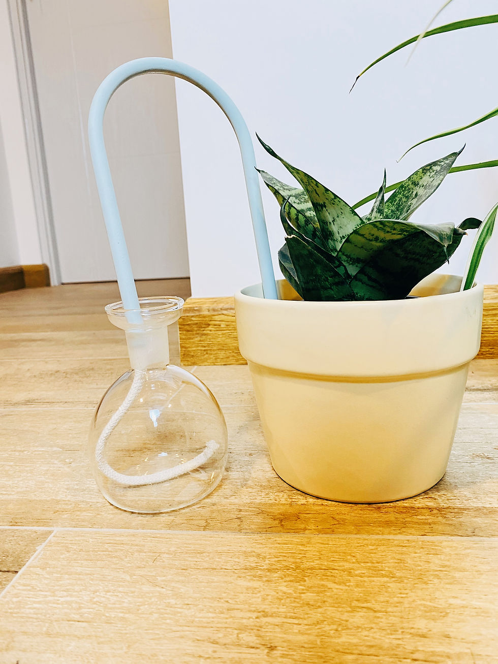 Miniatura: Auto Riego Celeste