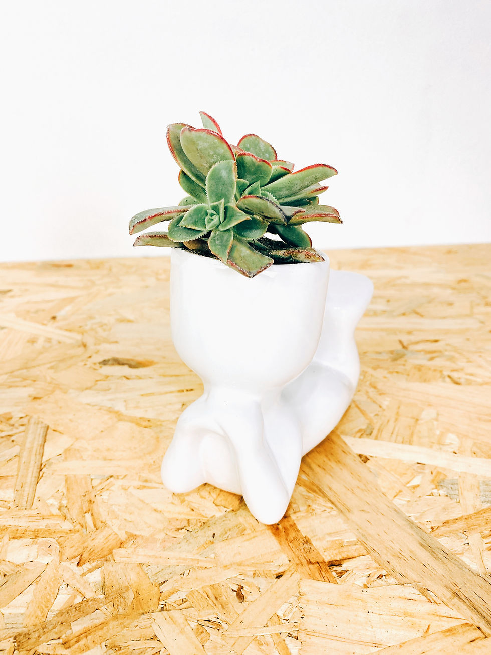 Miniatura: Maceta Suculenta - Humans (kit)